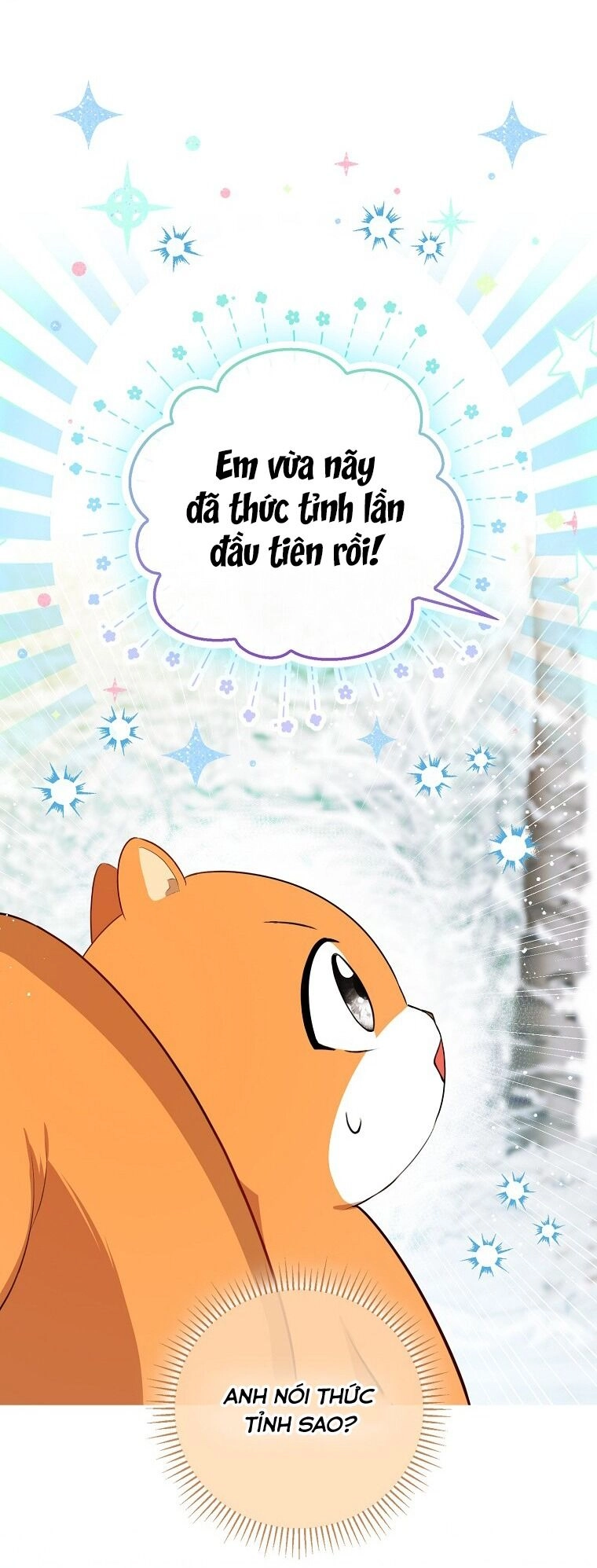 Sóc Con Tài Năng Chapter 62 - 27