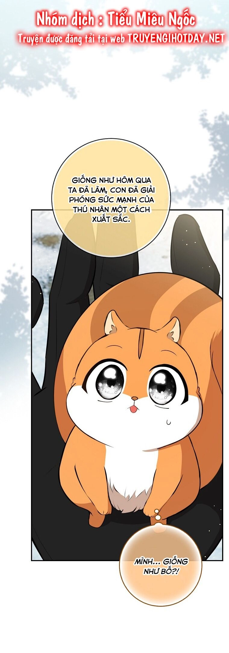 Sóc Con Tài Năng Chapter 62 - 30