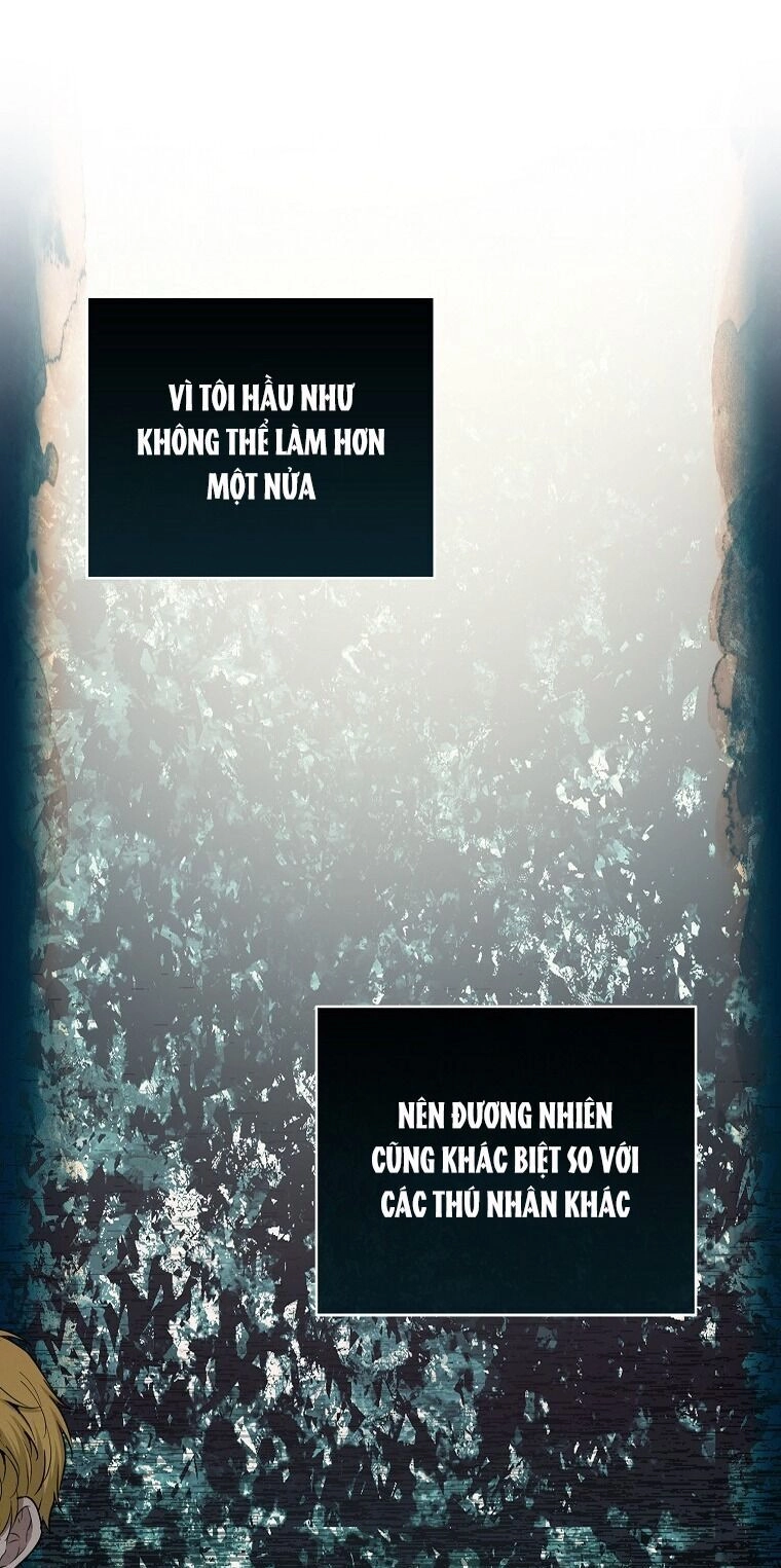 Sóc Con Tài Năng Chapter 62 - 33