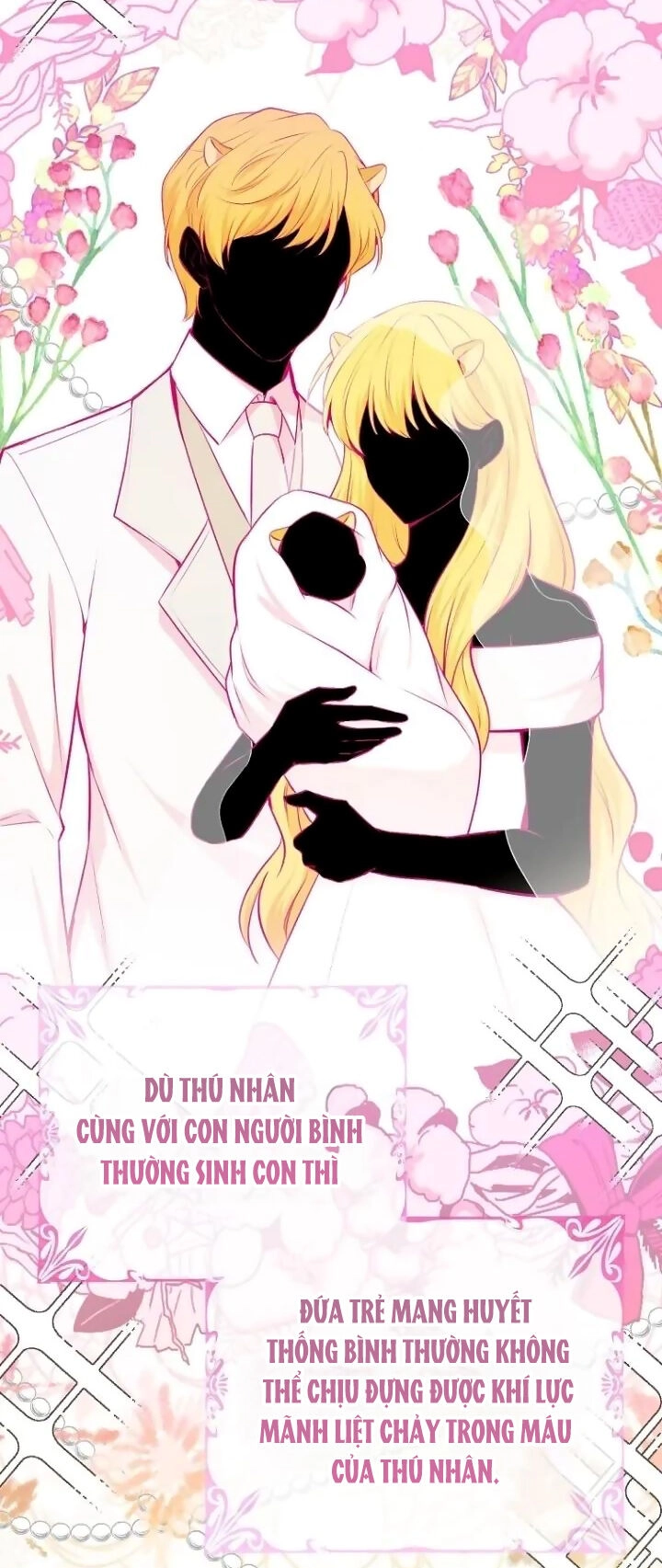 Sóc Con Tài Năng Chapter 64 - 27