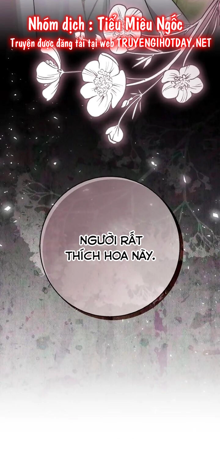 Sóc Con Tài Năng Chapter 64 - 82