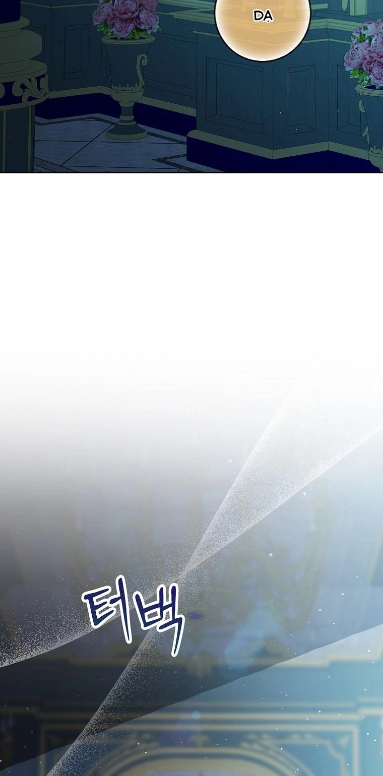 Sóc Con Tài Năng Chapter 66 - 77