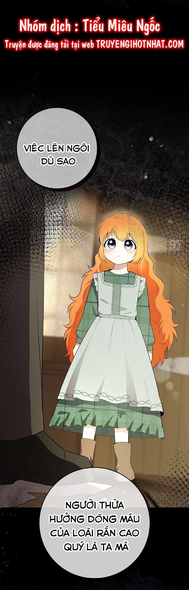 Sóc Con Tài Năng Chapter 70 - 12