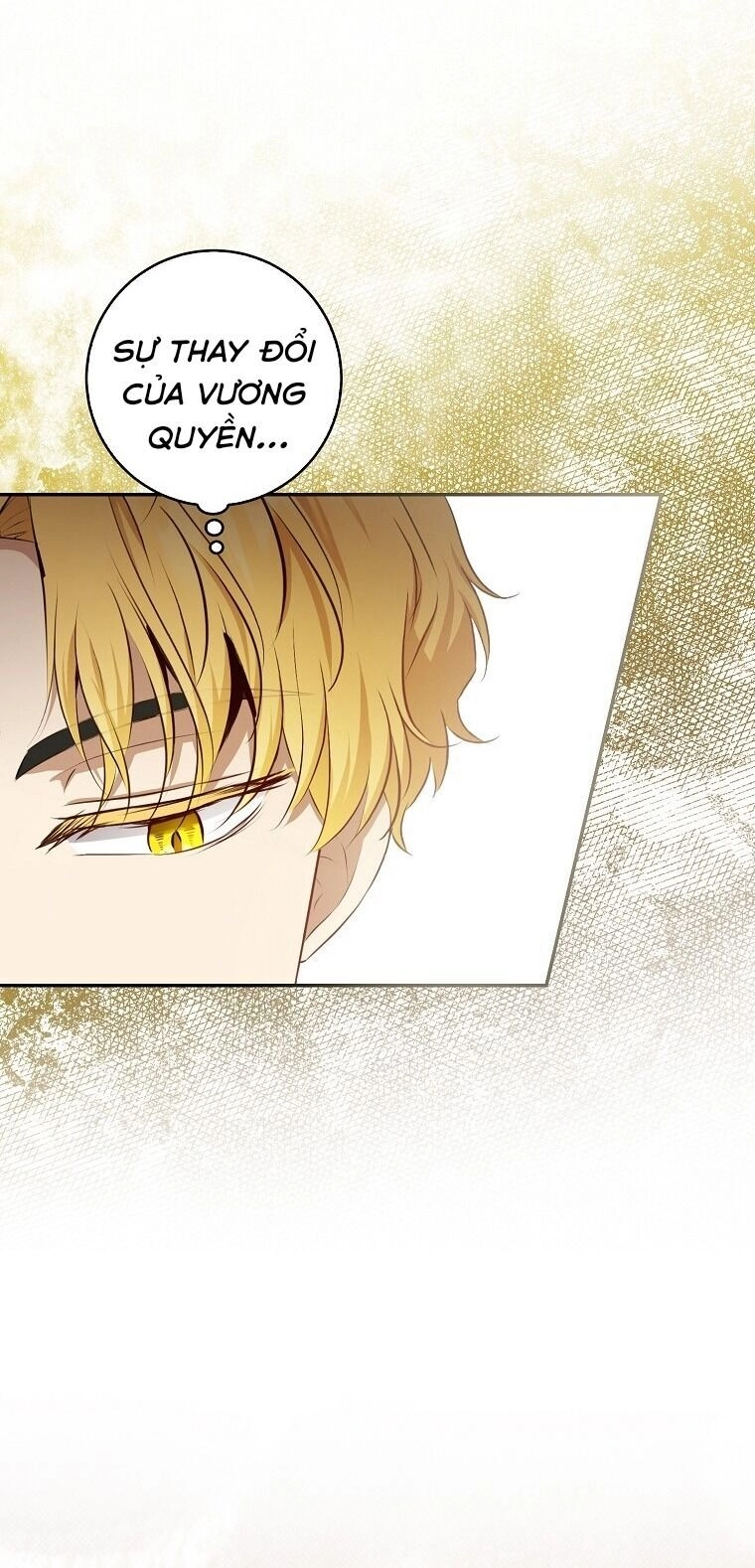 Sóc Con Tài Năng Chapter 70 - 24