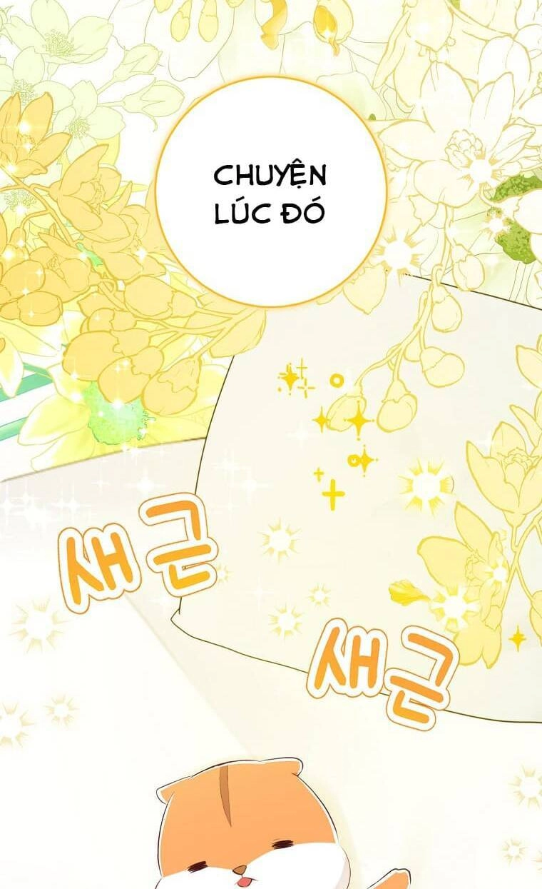 Sóc Con Tài Năng Chapter 72 - 73