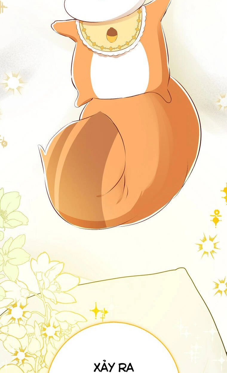 Sóc Con Tài Năng Chapter 72 - 74