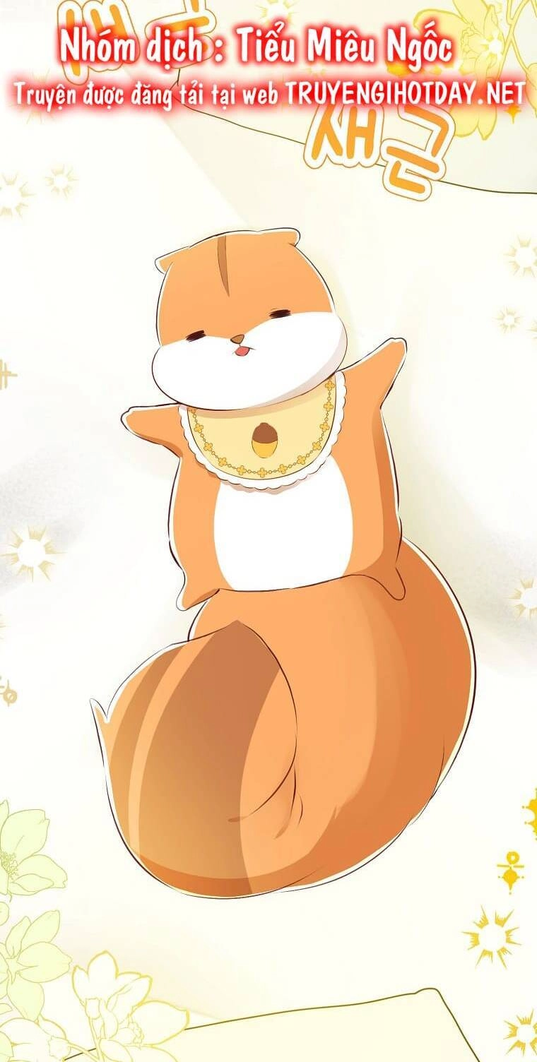 Sóc Con Tài Năng Chapter 73 - 4