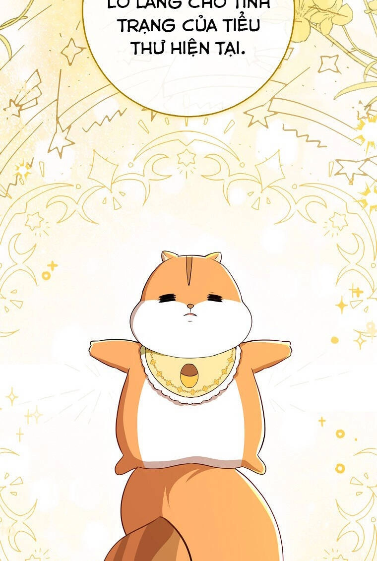 Sóc Con Tài Năng Chapter 73 - 21