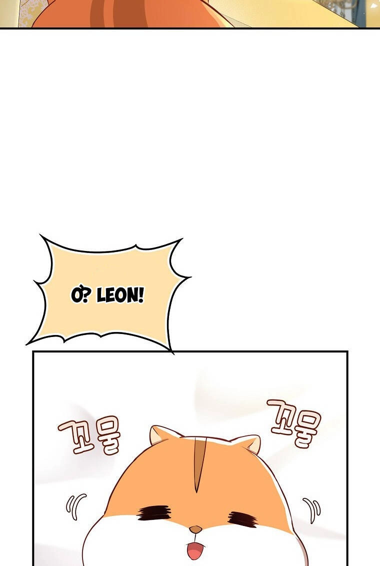 Sóc Con Tài Năng Chapter 73 - 24