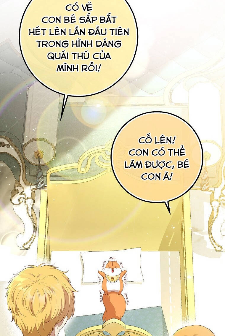 Sóc Con Tài Năng Chapter 73 - 26