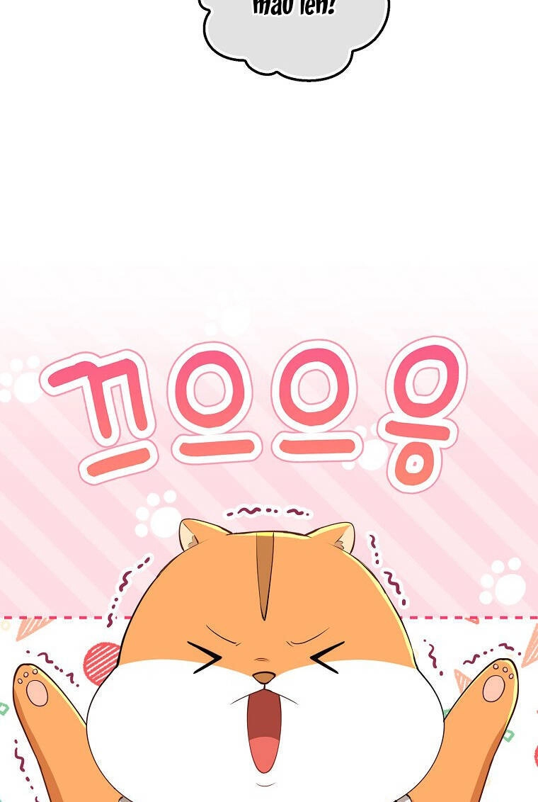 Sóc Con Tài Năng Chapter 73 - 28