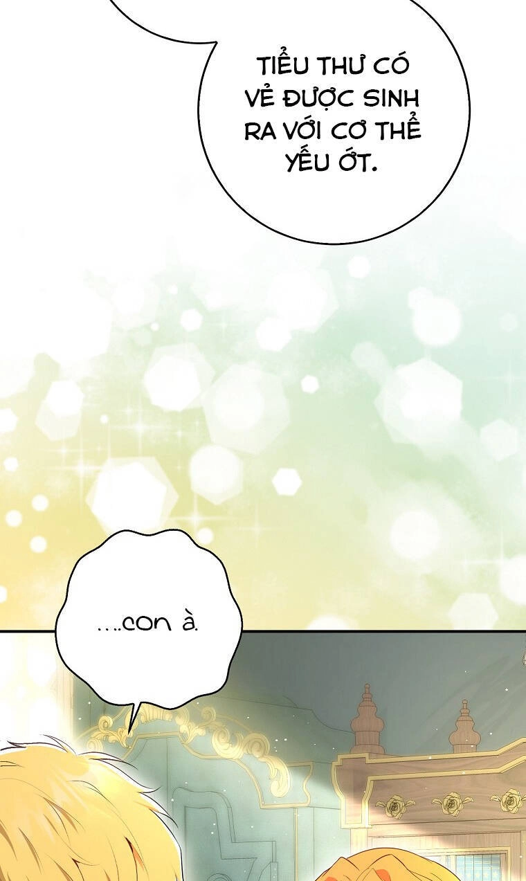 Sóc Con Tài Năng Chapter 73 - 36