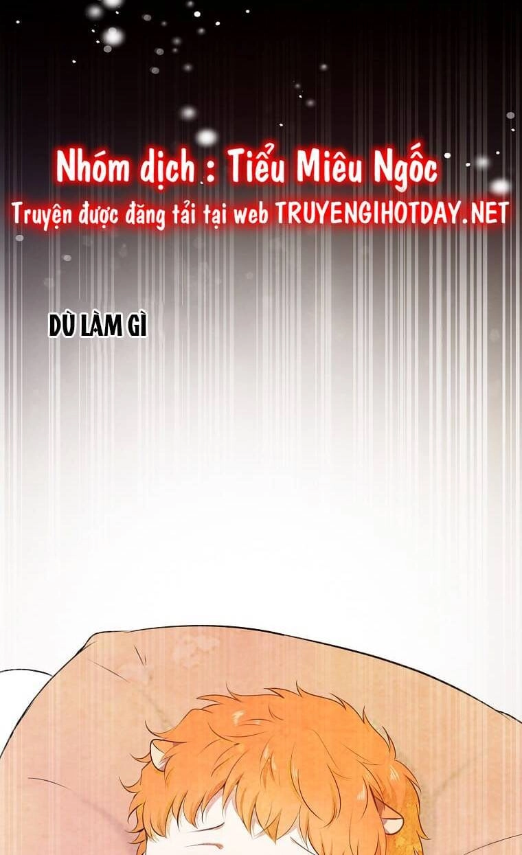 Sóc Con Tài Năng Chapter 73 - 52