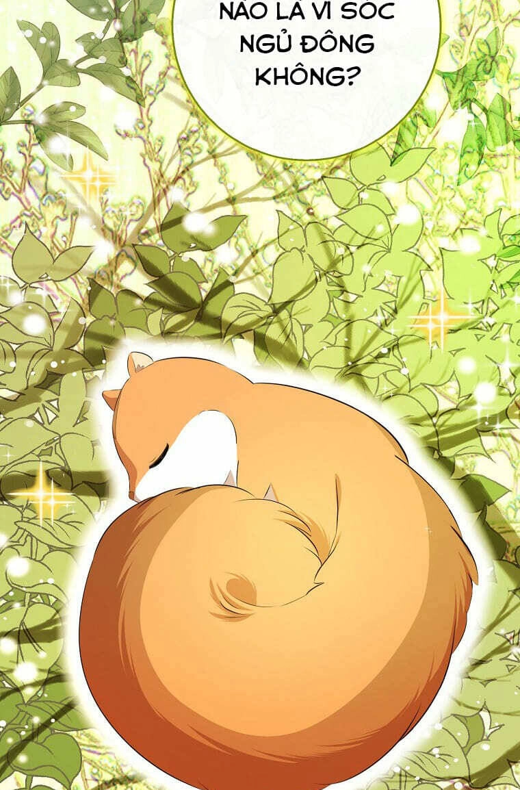 Sóc Con Tài Năng Chapter 73 - 61