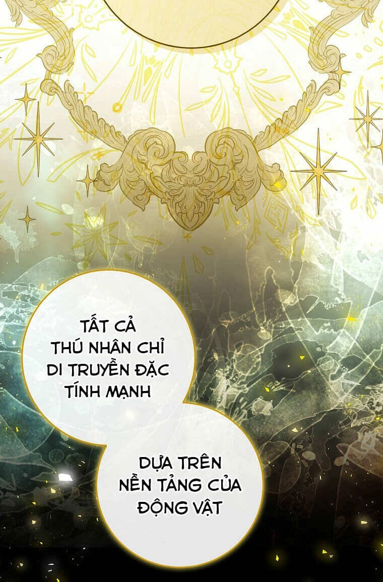 Sóc Con Tài Năng Chapter 73 - 68