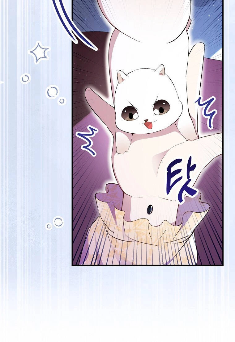 Sóc Con Tài Năng Chapter 73 - 86