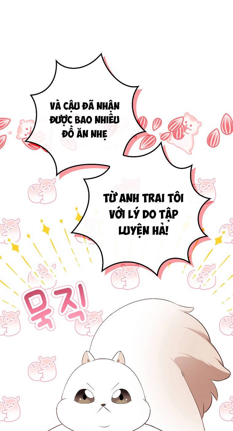 Sóc Con Tài Năng Chapter 73 - 88