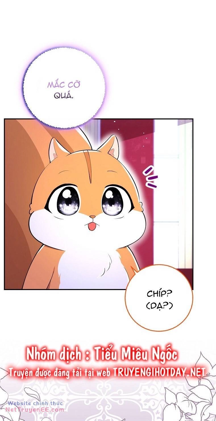 Sóc Con Tài Năng Chapter 74 - 24