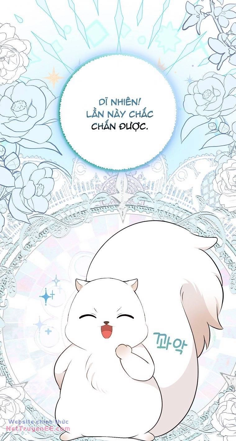 Sóc Con Tài Năng Chapter 74 - 31