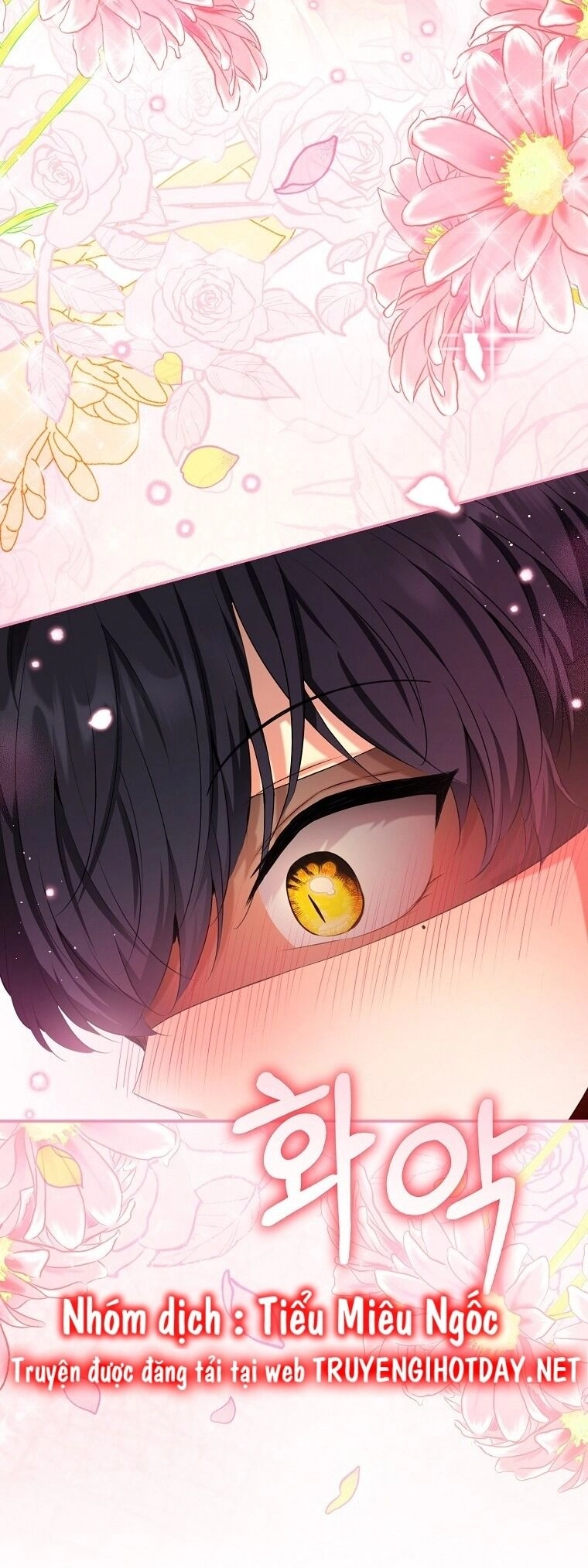 Sóc Con Tài Năng Chapter 76 - 33