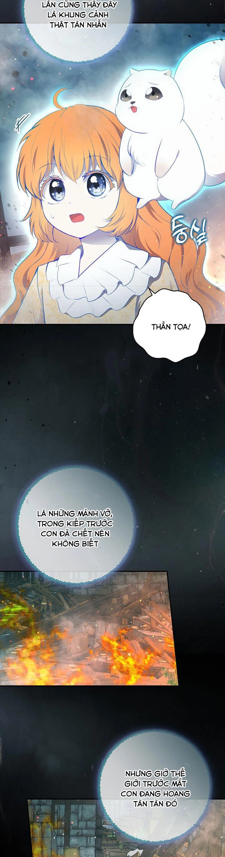 Sóc Con Tài Năng Chapter 77 - 39