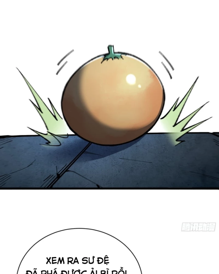 Thành Thần Bắt Đầu Từ Thủy Hầu Tử Chapter 32 - 42