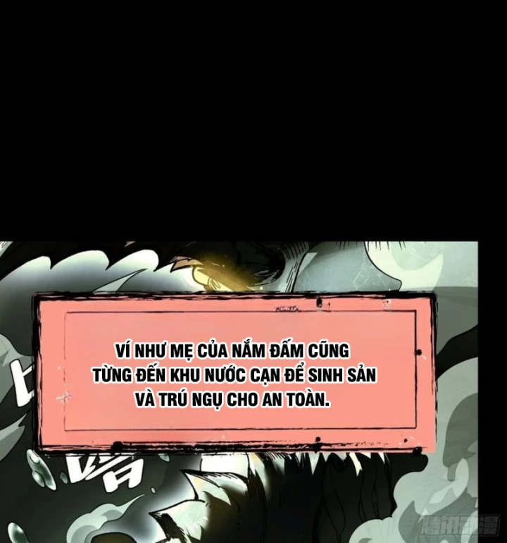 Thành Thần Bắt Đầu Từ Thủy Hầu Tử Chapter 50 - 9