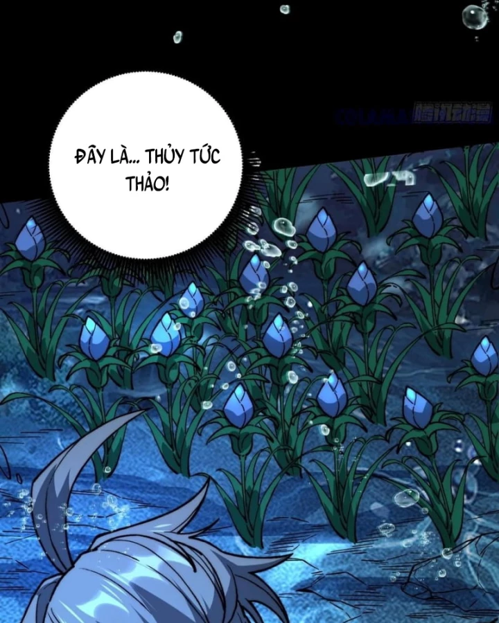 Thành Thần Bắt Đầu Từ Thủy Hầu Tử Chapter 50 - 31