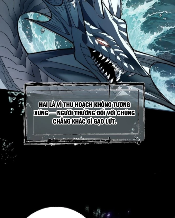 Thành Thần Bắt Đầu Từ Thủy Hầu Tử Chapter 50 - 51