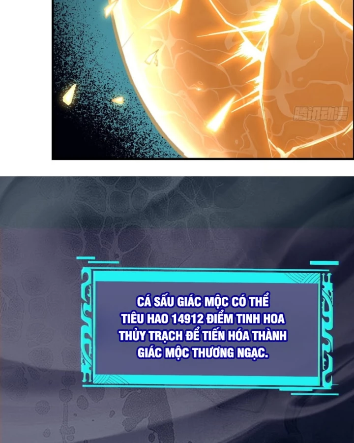 Thành Thần Bắt Đầu Từ Thủy Hầu Tử Chapter 52 - 67