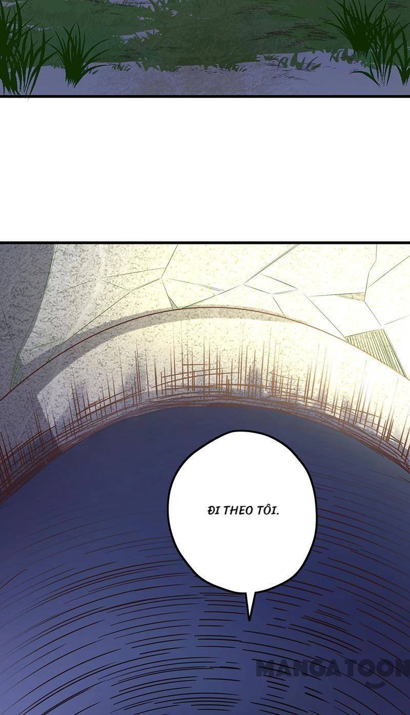 Diệu Thủ Cuồng Y Chapter 260 - 16