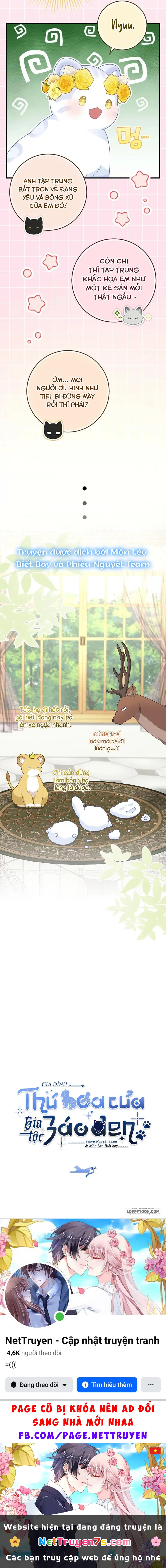 Tiểu Thư Báo Tuyết Của Gia Tộc Báo Đen Chapter 52.1 - 8