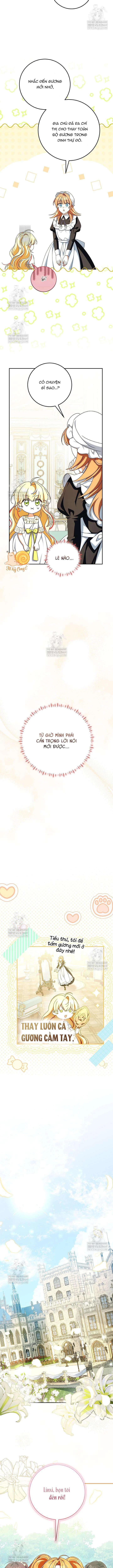 Nàng Chim Được Dinh Thự Sói Yêu Thương Chapter 60 - 8