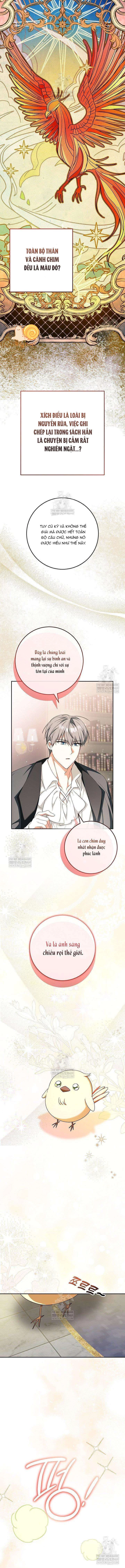 Nàng Chim Được Dinh Thự Sói Yêu Thương Chapter 62 - 5
