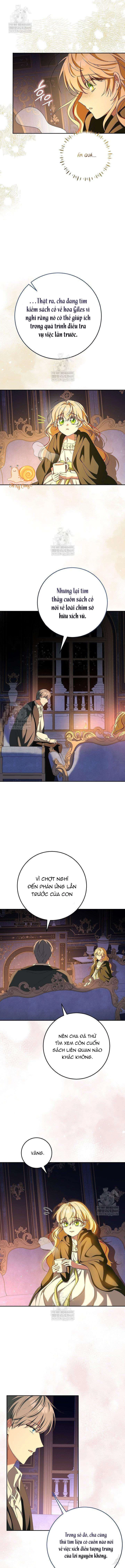 Nàng Chim Được Dinh Thự Sói Yêu Thương Chapter 62 - 8