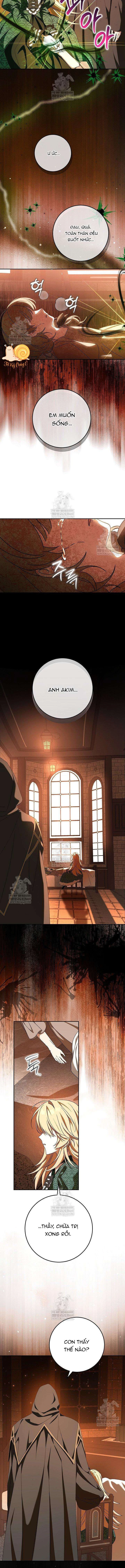 Nàng Chim Được Dinh Thự Sói Yêu Thương Chapter 63 - 3