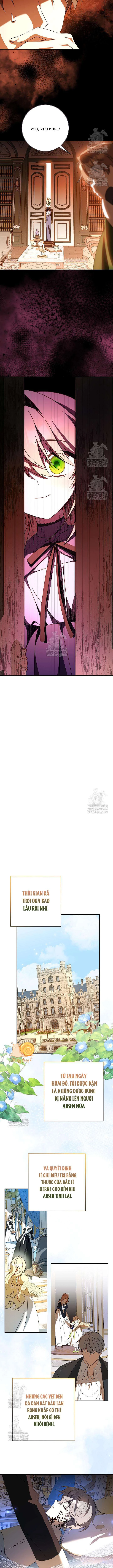 Nàng Chim Được Dinh Thự Sói Yêu Thương Chapter 64 - 11