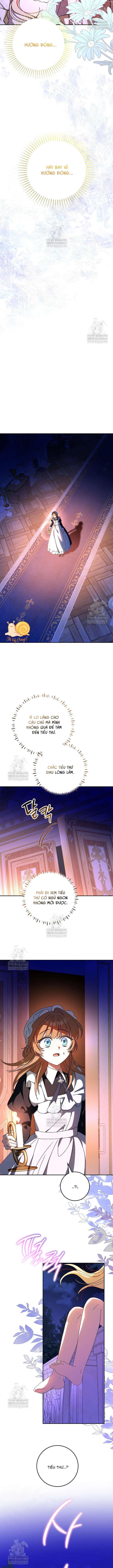 Nàng Chim Được Dinh Thự Sói Yêu Thương Chapter 65 - 4