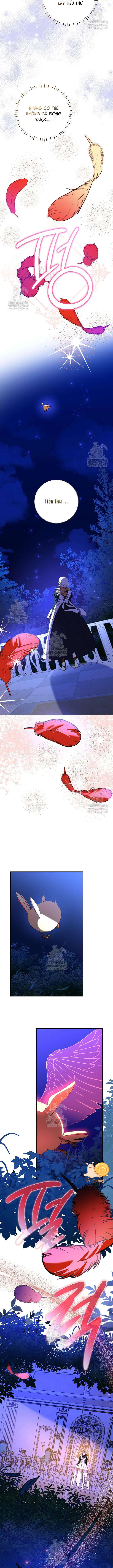 Nàng Chim Được Dinh Thự Sói Yêu Thương Chapter 65 - 7