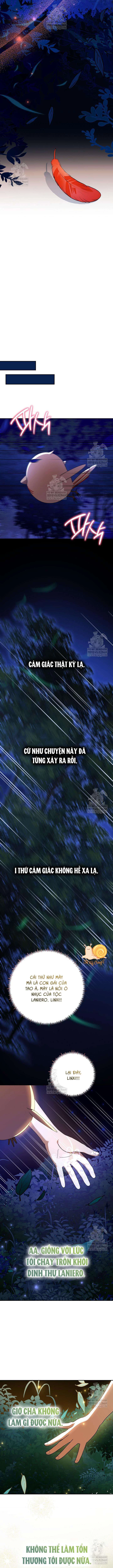 Nàng Chim Được Dinh Thự Sói Yêu Thương Chapter 65 - 8