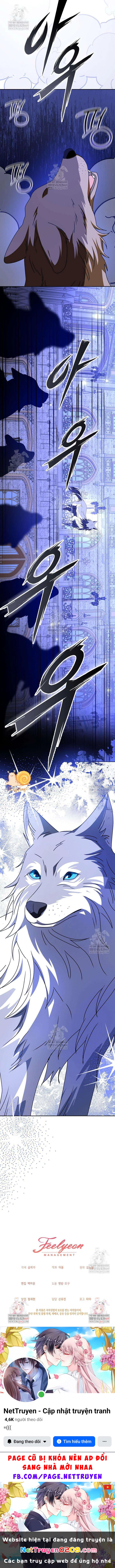 Nàng Chim Được Dinh Thự Sói Yêu Thương Chapter 65 - 15