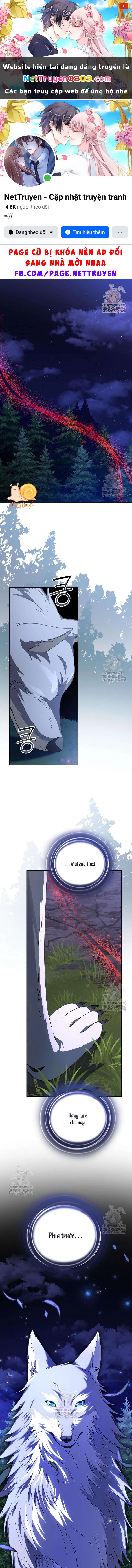 Nàng Chim Được Dinh Thự Sói Yêu Thương Chapter 66 - 1