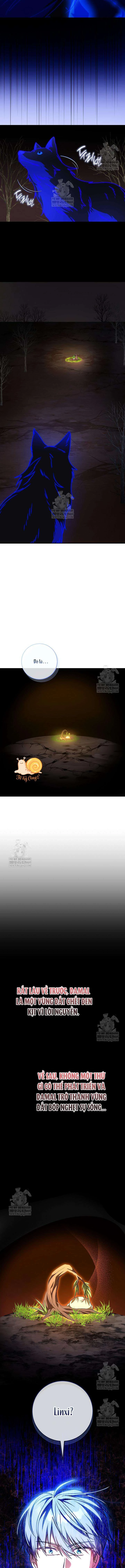 Nàng Chim Được Dinh Thự Sói Yêu Thương Chapter 66 - 8