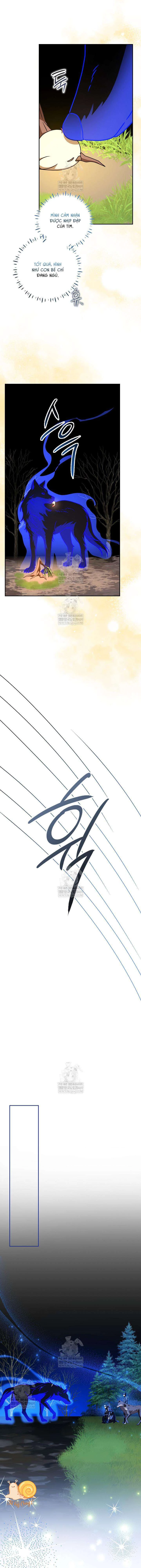 Nàng Chim Được Dinh Thự Sói Yêu Thương Chapter 66 - 13