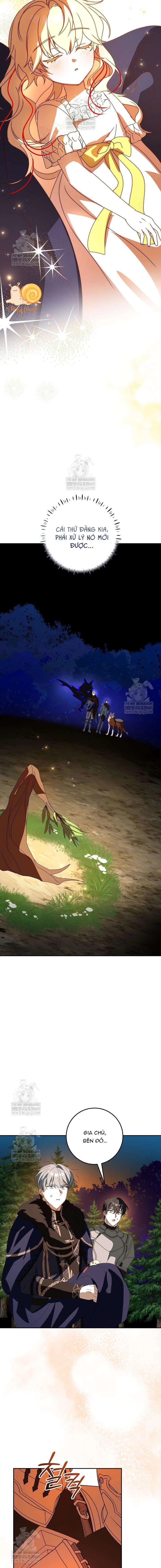 Nàng Chim Được Dinh Thự Sói Yêu Thương Chapter 66 - 15