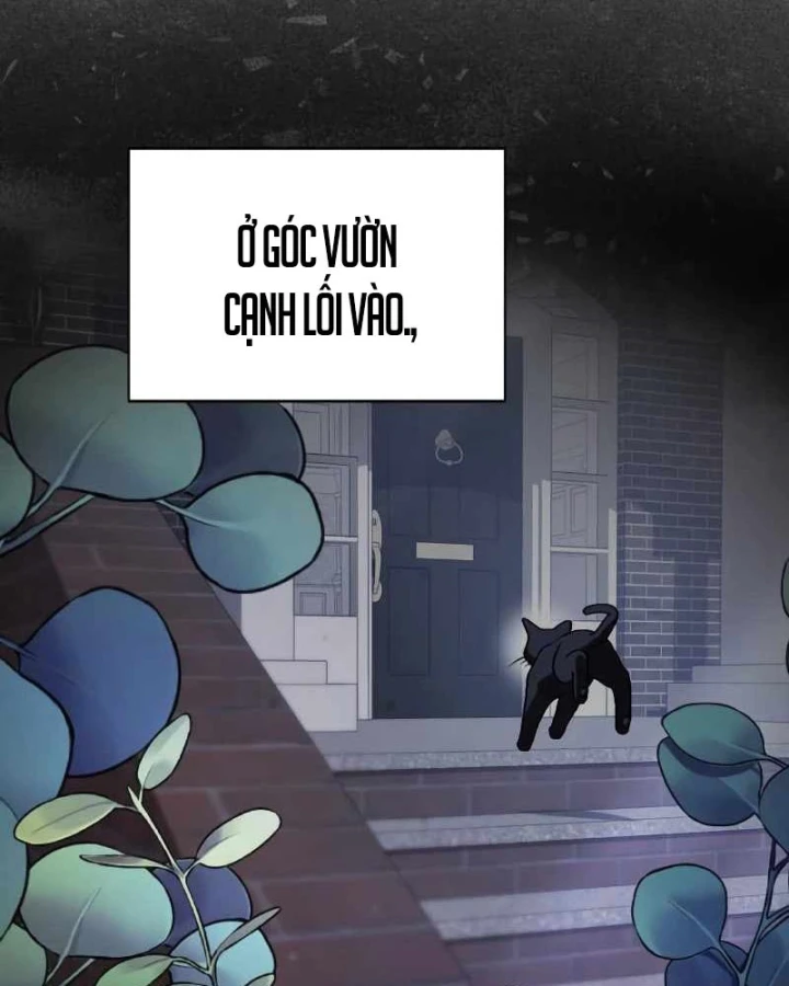 Đa Sắc Ma Pháp Sư Thiên Tài Chapter 65 - 18