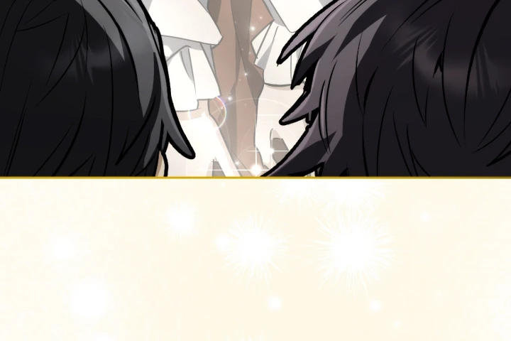 Đa Sắc Ma Pháp Sư Thiên Tài Chapter 69 - 47