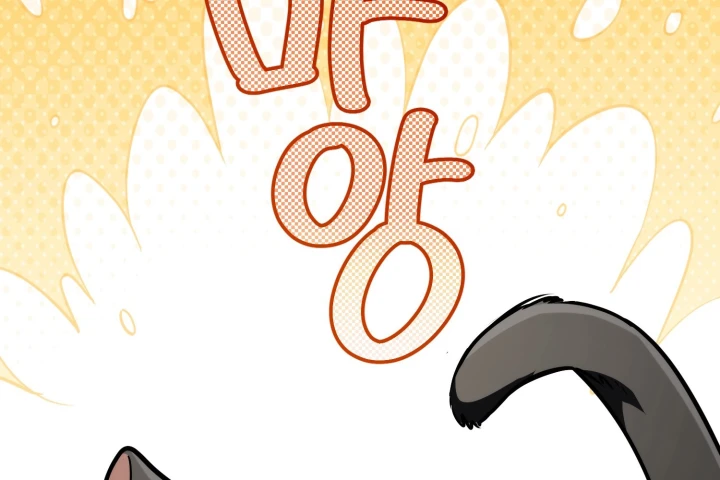 Đa Sắc Ma Pháp Sư Thiên Tài Chapter 69 - 100