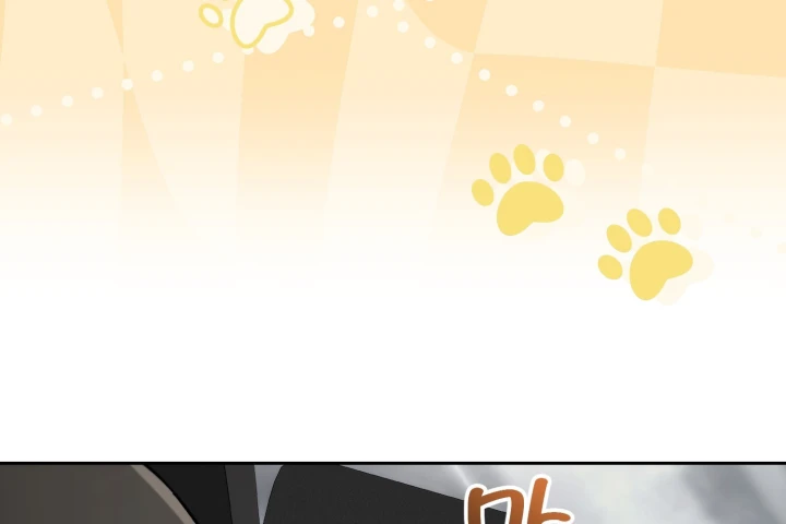 Đa Sắc Ma Pháp Sư Thiên Tài Chapter 69 - 103