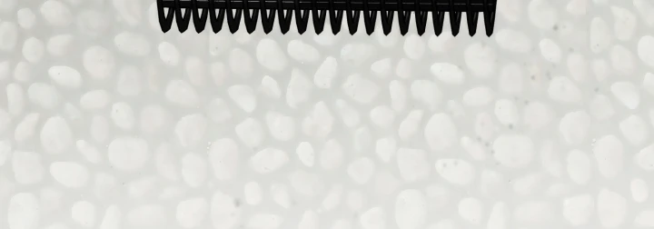 Đa Sắc Ma Pháp Sư Thiên Tài Chapter 69 - 120